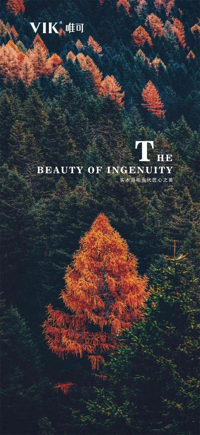 z6尊龙入口：VIK唯可卫浴阳春三月再起征程(图3)