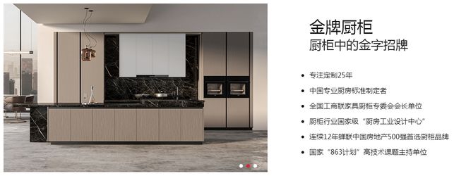 z6尊龙·中国网站：品牌推荐金牌整家定制以品质与服务提升美好人居生活(图3)