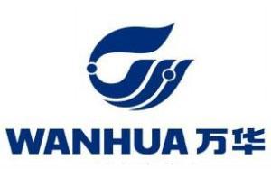 板材哪个品牌好？2024板材十大品牌(图8)