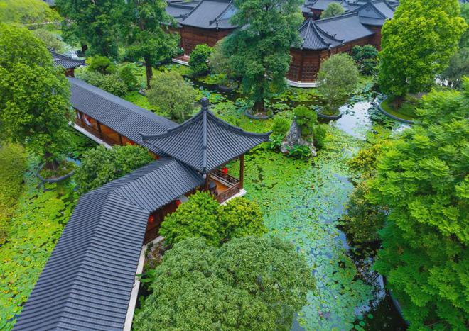 【星河湾半岛五号】2024网站-星河湾半岛五号售楼中心欢迎您(图12)