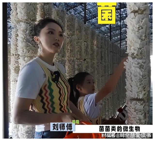 董璇带女儿回老家小酒窝思维清晰表达能力不俗老天爷赏饭吃(图4)