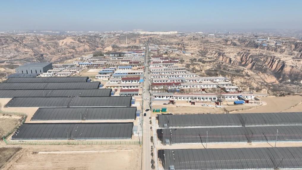 推动乡村产业提质增效做好“土特产”文章(图4)