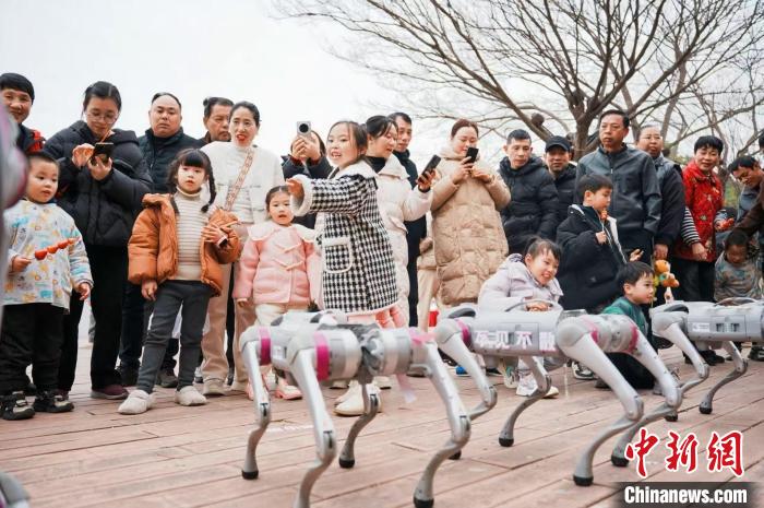 浙江“闹”元宵：文化味邂逅科技味(图3)