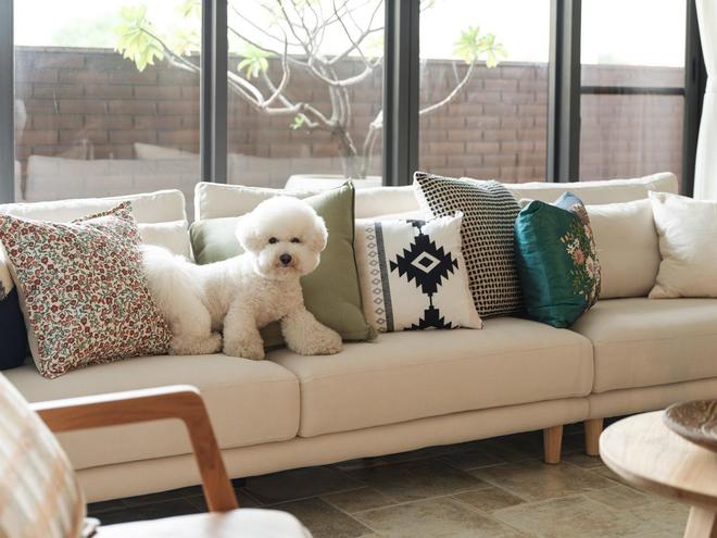 新作度假风格的释压住宅(图18)