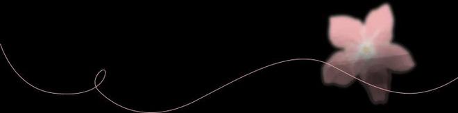 执委实事项目进行时丨黄菊：巾帼普法乡村行