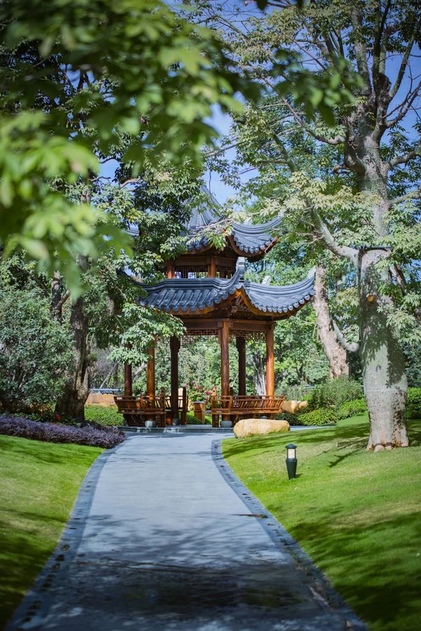 z6尊龙·中国网站：三料TOP1！300㎡+大平层星河湾睥睨市场(图6)