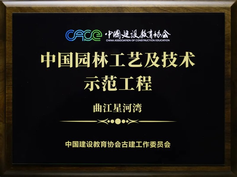 z6尊龙·中国网站：三料TOP1！300㎡+大平层星河湾睥睨市场(图14)