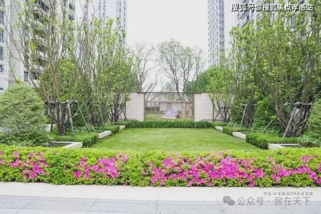 z6尊龙·中国网站：中企云萃森林（2025网站最新发布）中企云萃森林内幕大揭秘(图9)