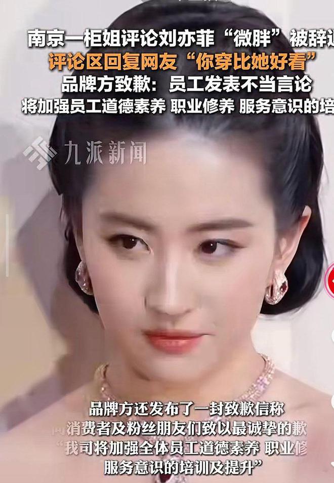 哭麻！南京一柜姐用账号评论刘亦菲微胖被辞退品牌方道歉(图6)