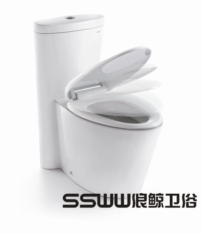 z6尊龙入口：浪鲸卫浴连体座便器