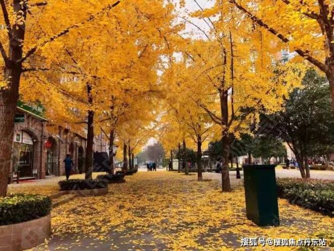 古北悦公馆【2025古北悦公馆网站】售楼处小区环境