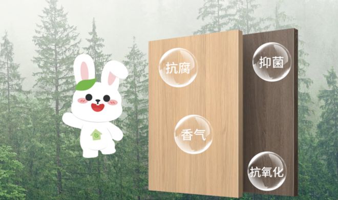 小白兔儿童板材：2025长沙建博会开启璀璨新程(图4)