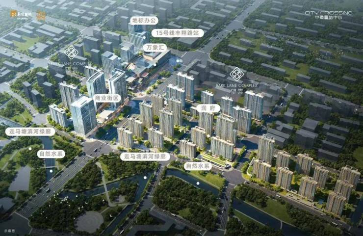 楼王登场北上海终极改善红盘中環置地中心望雲188㎡平墅即将入市(图5)