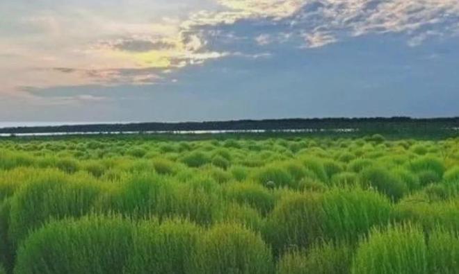 利好来了！老旧小区改造加力加速家电产业再迎发展新机遇