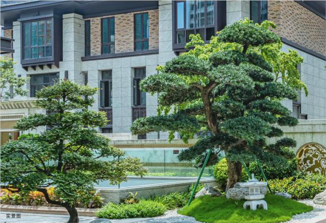 2025买房推荐！龙岗大道旁总裁纯享别墅【隆腾盛世】详情电话(图4)