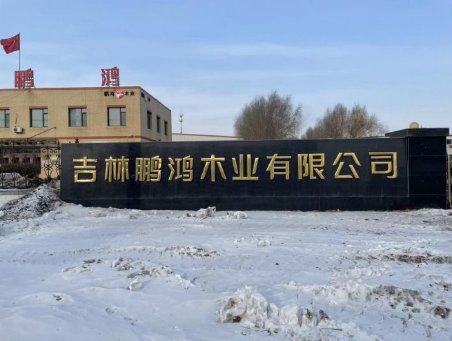 z6尊龙·中国网站：2025颗粒板十大品牌榜单揭晓：环保与品质双驱动行业新格局(图1)