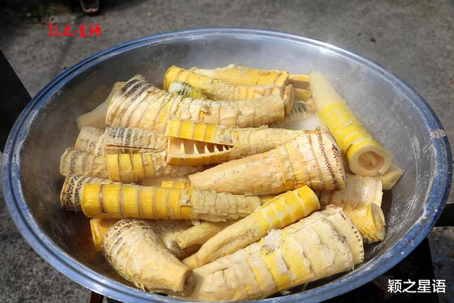 宁波市海曙区最偏远的村庄秘境风光游人少至(图6)
