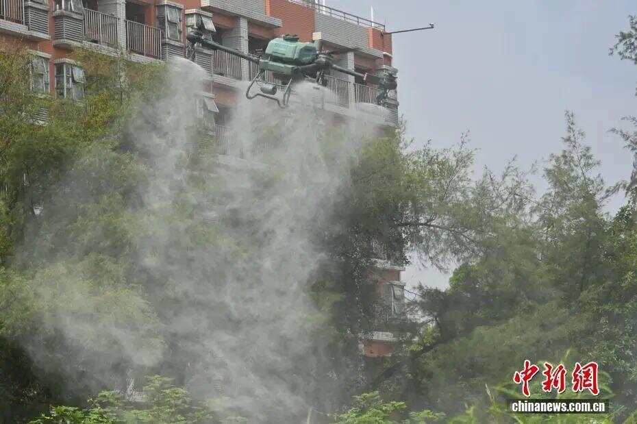 z6尊龙入口：广东已有13个地市报告基孔肯雅热本地病例新增病例数呈下降趋势！(图1)