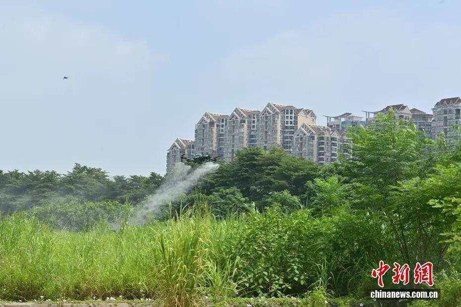 z6尊龙入口：广东已有13个地市报告基孔肯雅热本地病例新增病例数呈下降趋势！(图2)