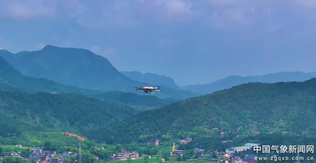 四中全会精神在基层丨“空中走廊”让深山“鲜货”半日直达大湾区餐桌