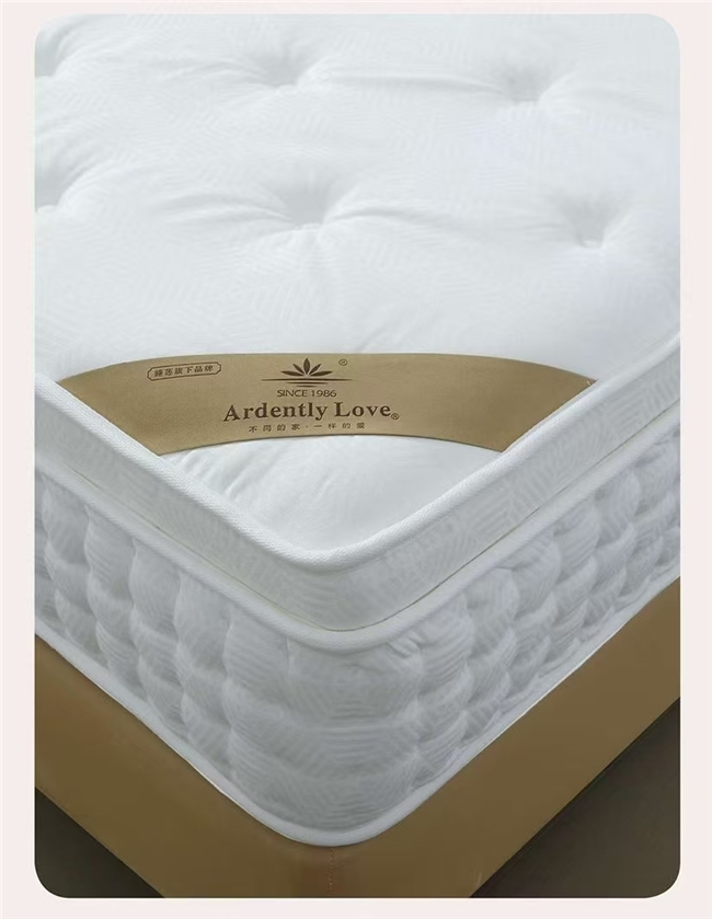 浴火而生大国匠心：睡莲家居的品牌升级与时代答卷(图2)