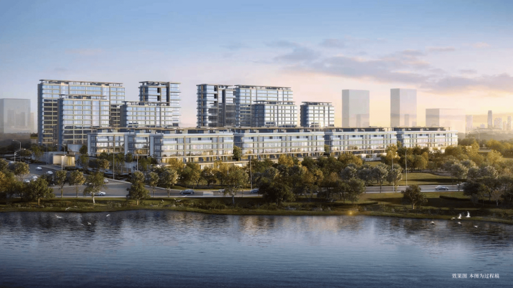 金茂璞逸云湖项目电话号码-学区(图4)