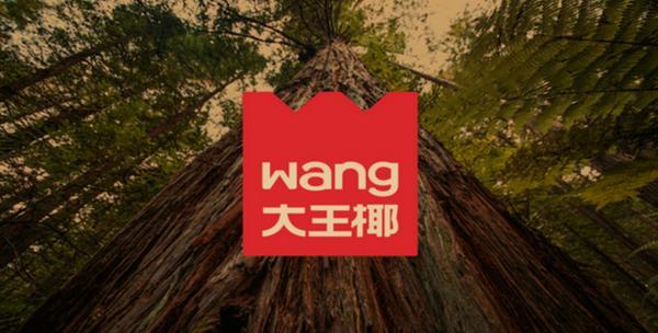 z6尊龙·中国网站：通联支付与大王椰集团达成合作数字化升级家居建材供应链