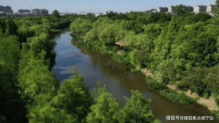 z6尊龙·中国网站：越秀杨浦天玥售楼处电话(杨浦天玥)网站-营销中心欢迎您-楼盘详情最新价格-户型图-容积率@2026年4月1售楼处发布(图4)