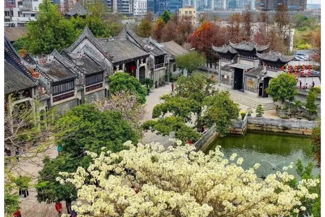 z6尊龙·中国网站：✨房天下丨星河·余荫溪谷售楼处发布：⚡时代臻奢新力作(图13)